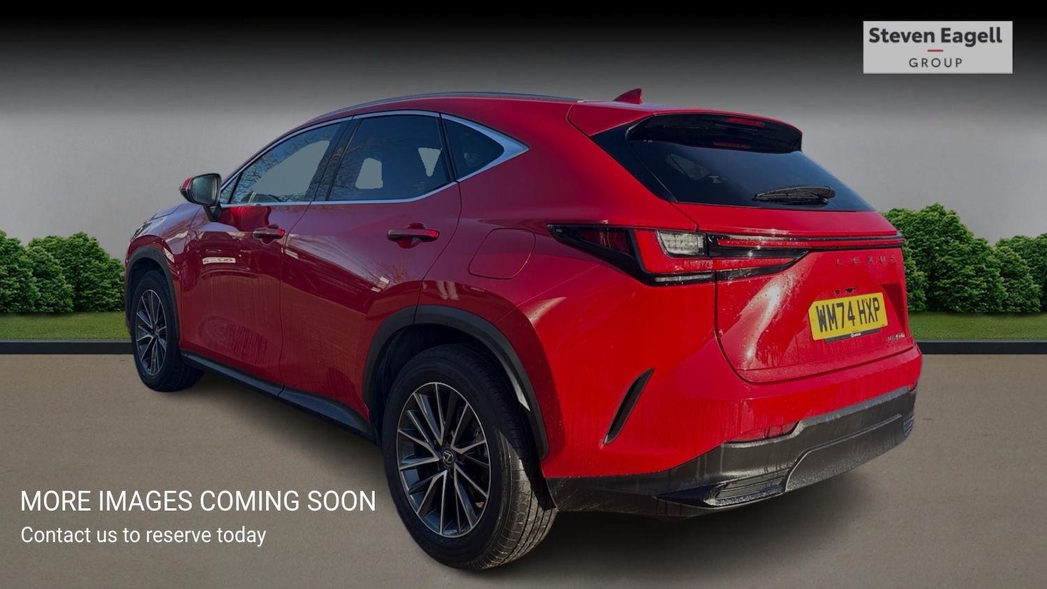 Used Lexus NX 2024 for sale - 77377438: Photo 2