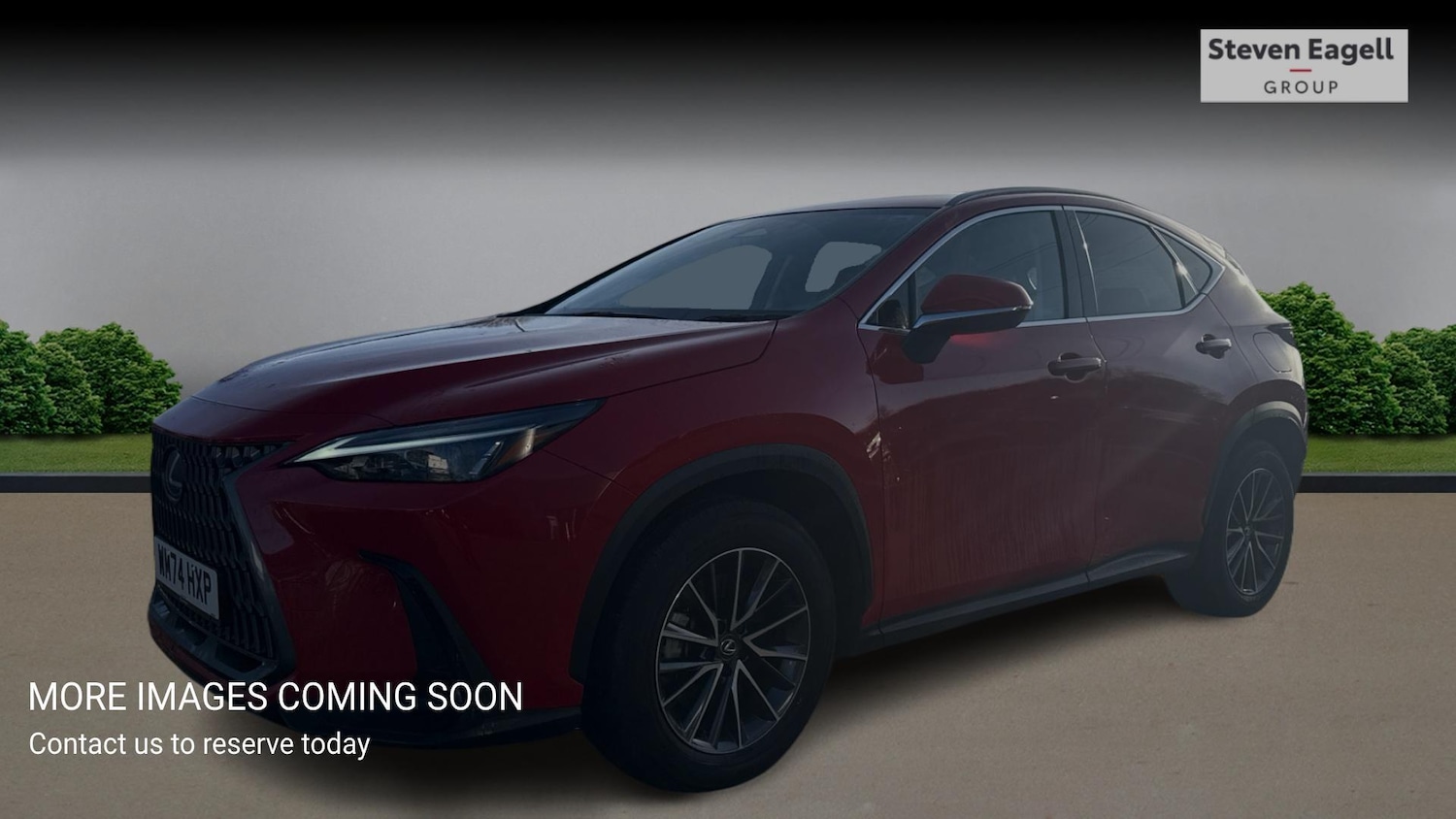 Used Lexus NX 2024 for sale - 77377438: Photo 3