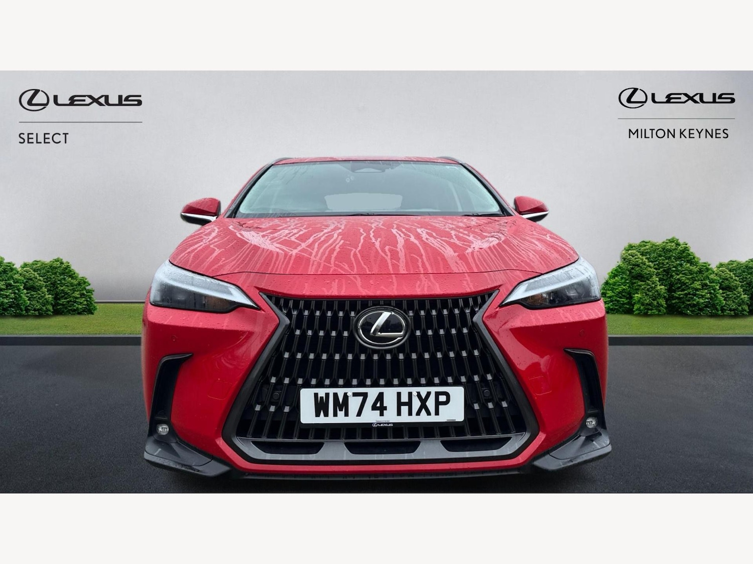 Used Lexus NX 2024 for sale - 77377438: Photo 6