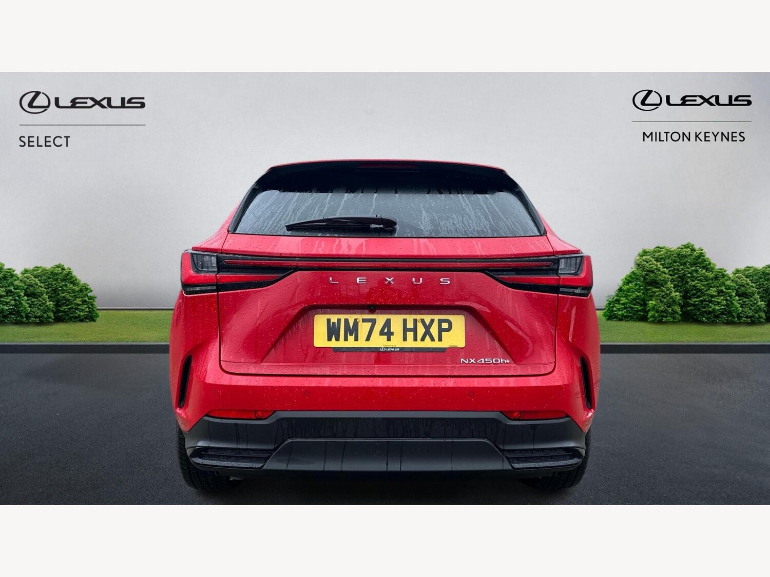 Used Lexus NX 2024 for sale - 77377438: Photo 7