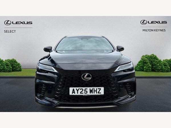 Used Lexus RX 2025 for sale - 75024381: Photo 6