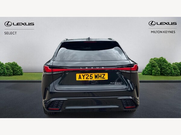 Used Lexus RX 2025 for sale - 75024381: Photo 7