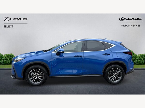 Used Lexus NX 2023 for sale - 75588339: Photo 3
