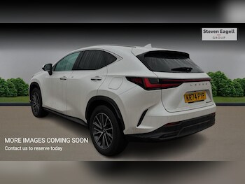 Used Lexus NX 2024 for sale - 77229590: Photo