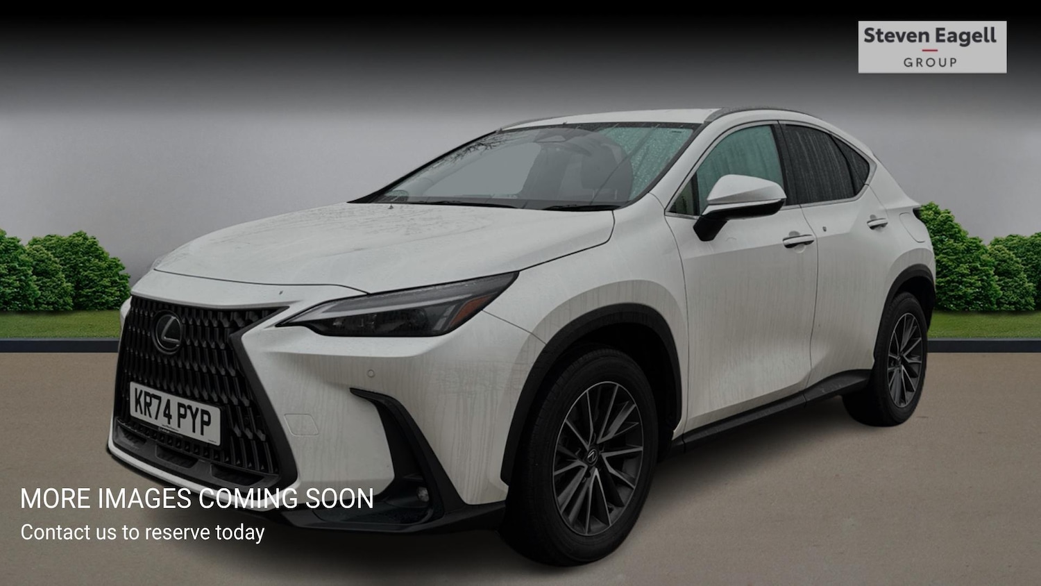 Used Lexus NX for sale - 77229590: Photo 3