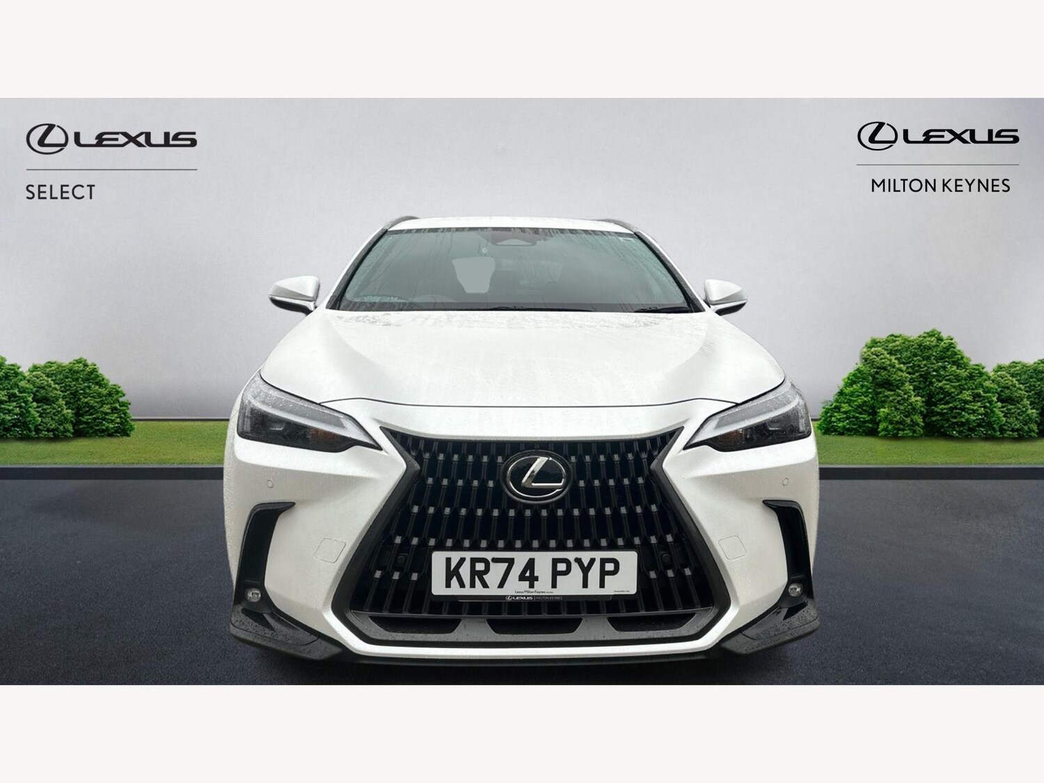 Used Lexus NX 2024 for sale - 77229590: Photo 6