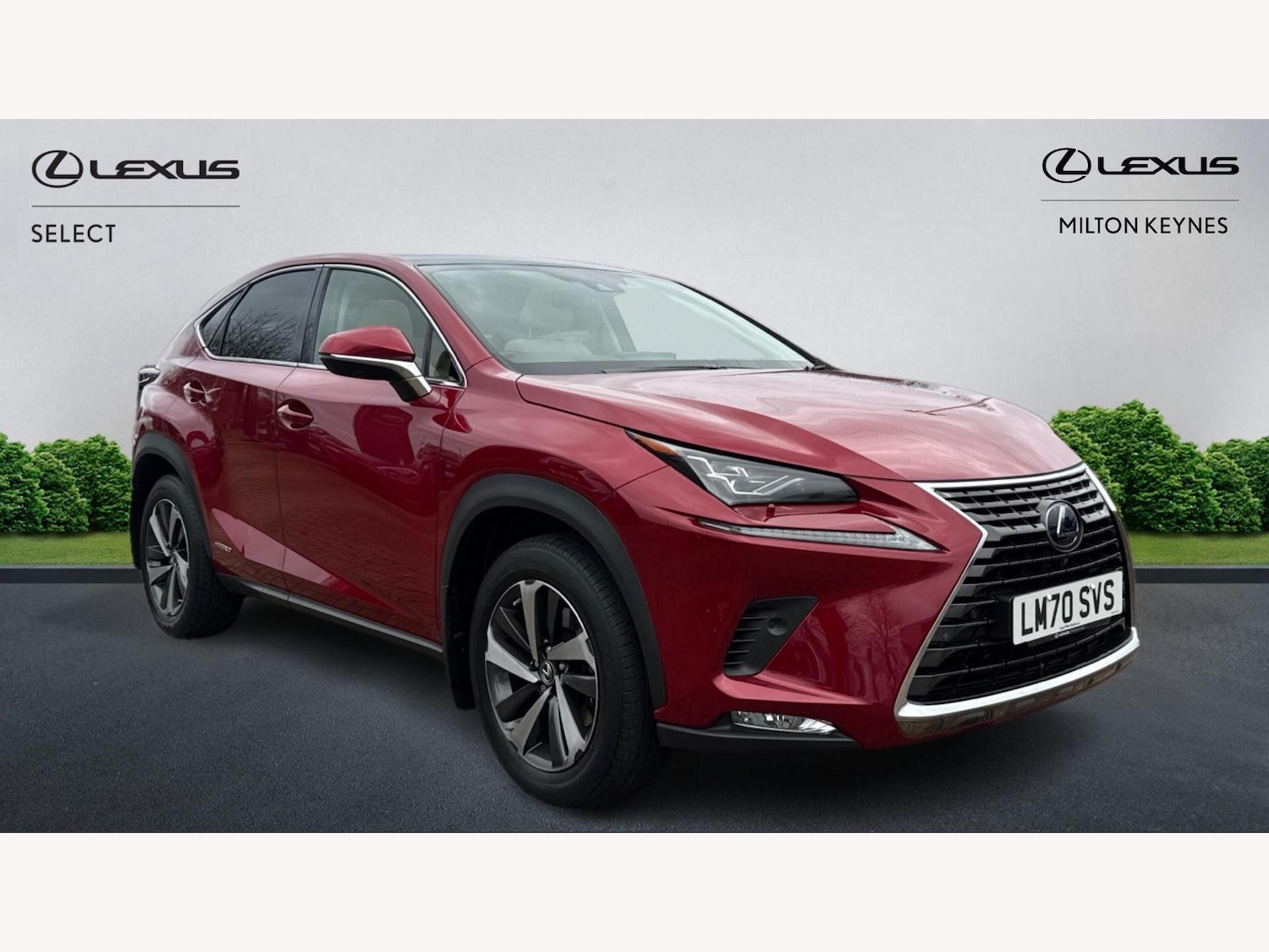 Used Lexus NX 2020 for sale - 76549446: Photo 1