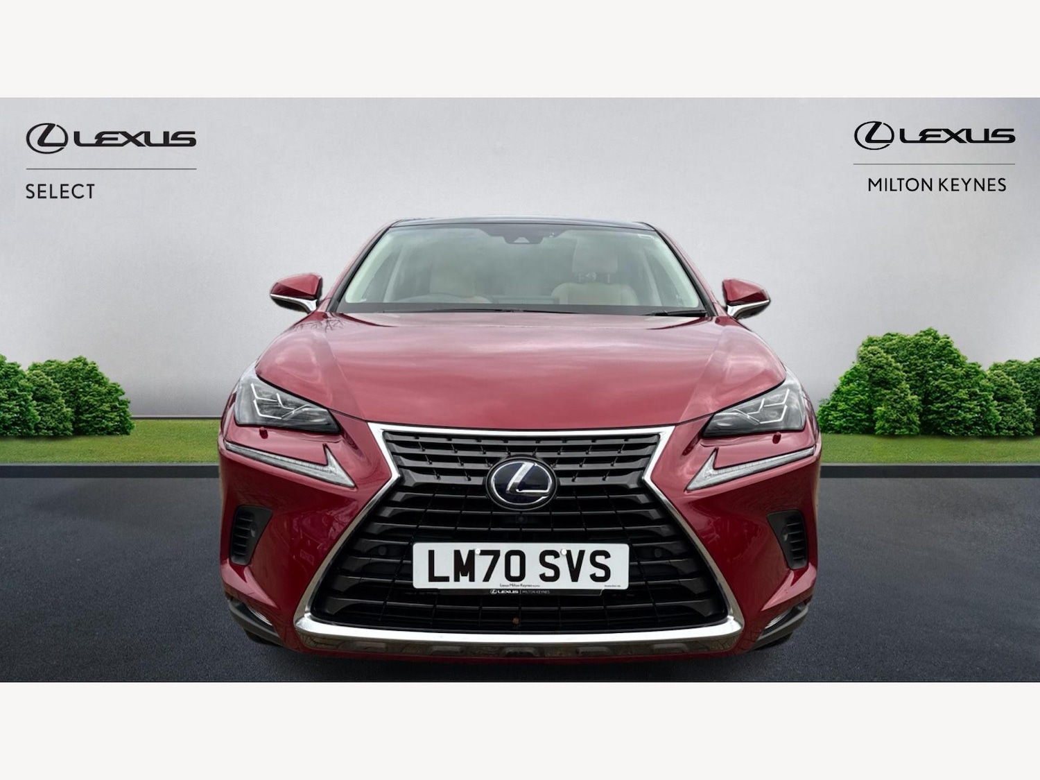 Used Lexus NX 2020 for sale - 76549446: Photo 6
