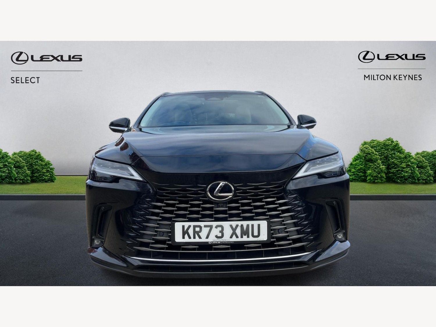 Used Lexus RX 2023 for sale - 76336954: Photo 6