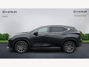 Used Lexus NX 2024 for sale - 77587105: Photo