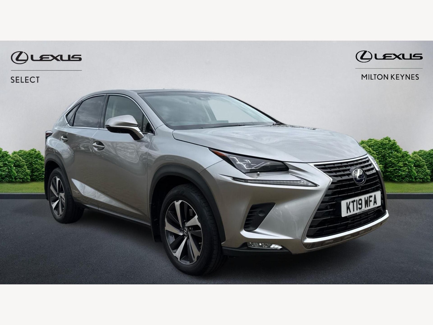 Used Lexus NX 2019 for sale - 76572333: Photo 1