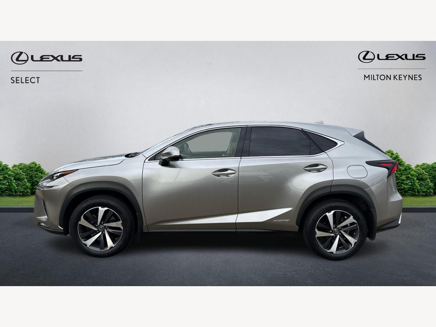 Used Lexus NX 2019 for sale - 76572333: Photo 3
