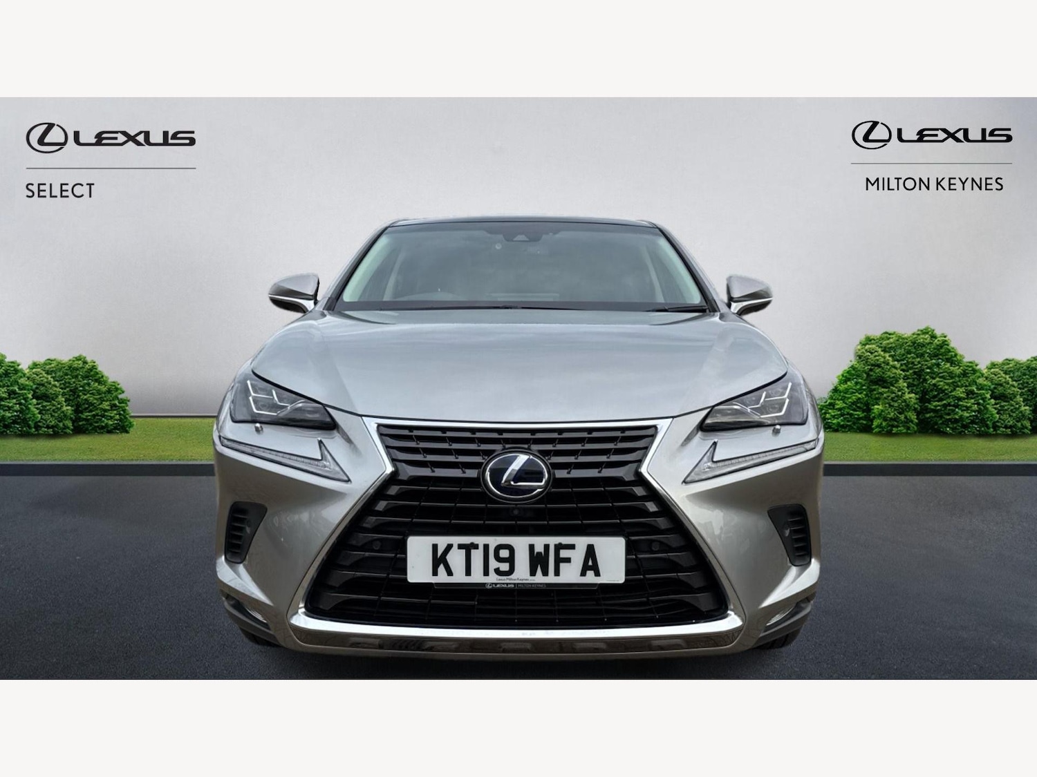 Used Lexus NX 2019 for sale - 76572333: Photo 6