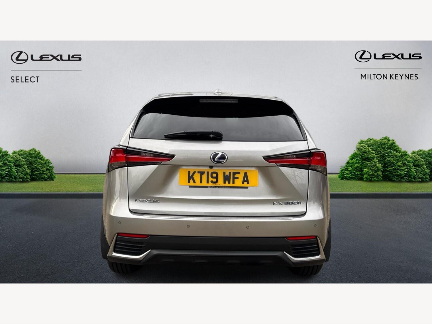 Used Lexus NX 2019 for sale - 76572333: Photo 7