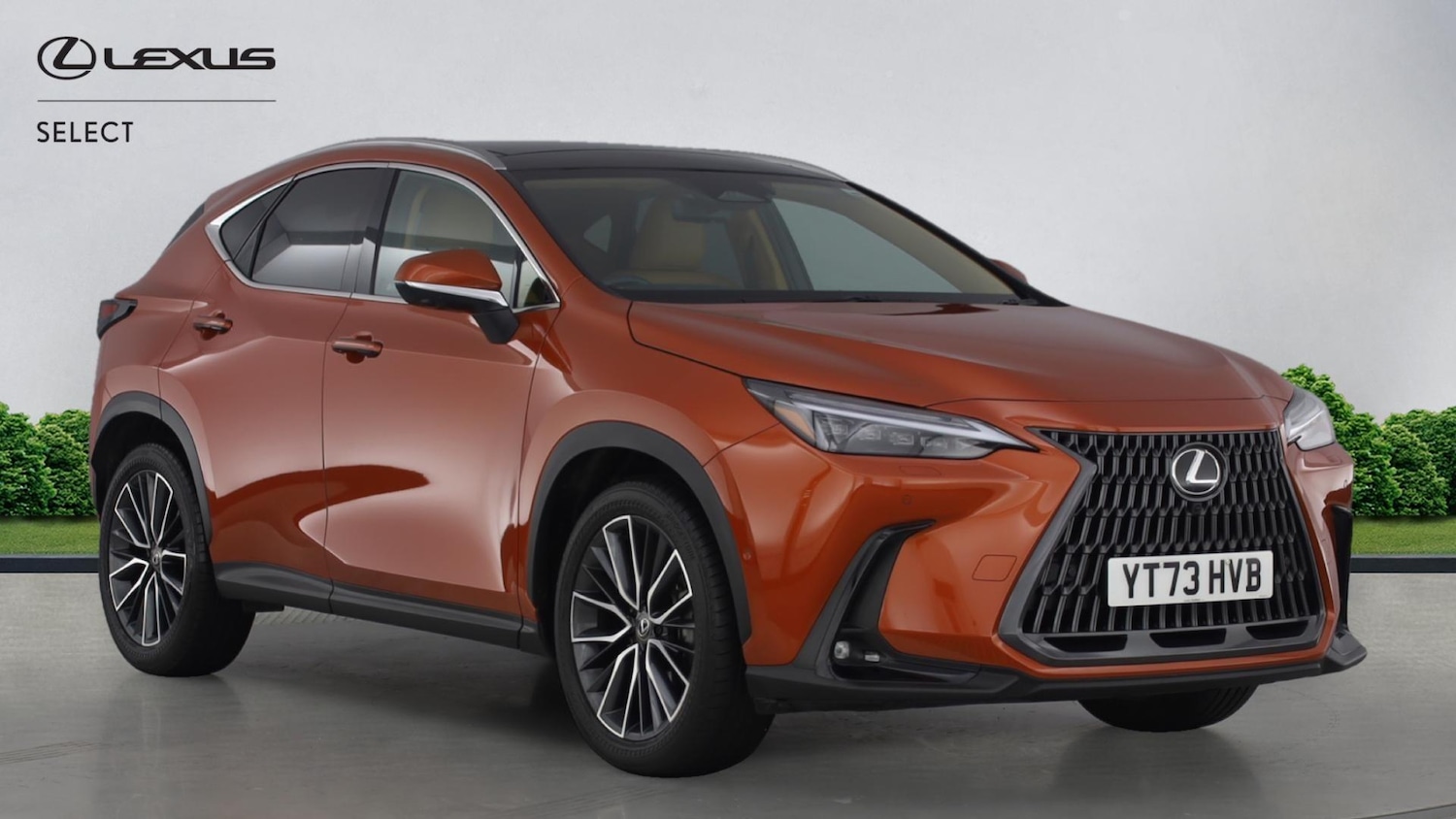 Used Lexus NX 2023 for sale - 77081341: Photo 1