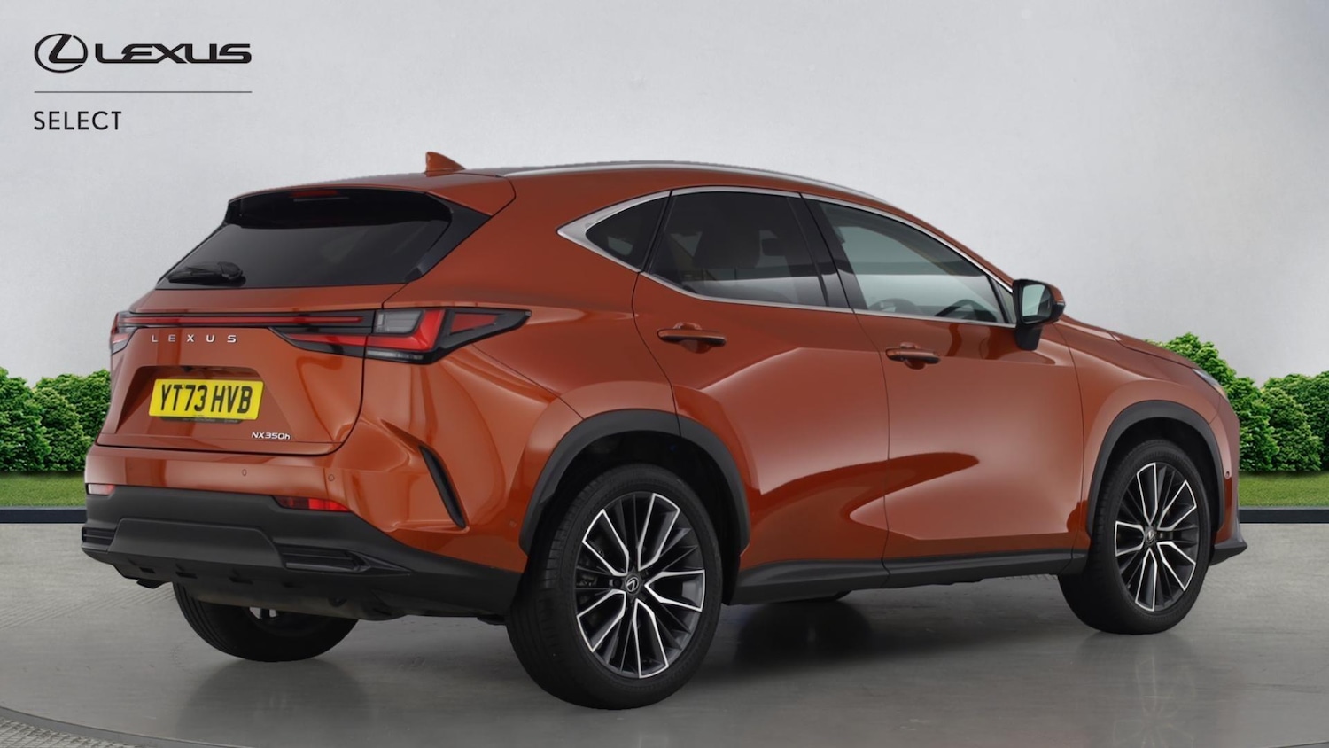 Used Lexus NX 2023 for sale - 77081341: Photo 18
