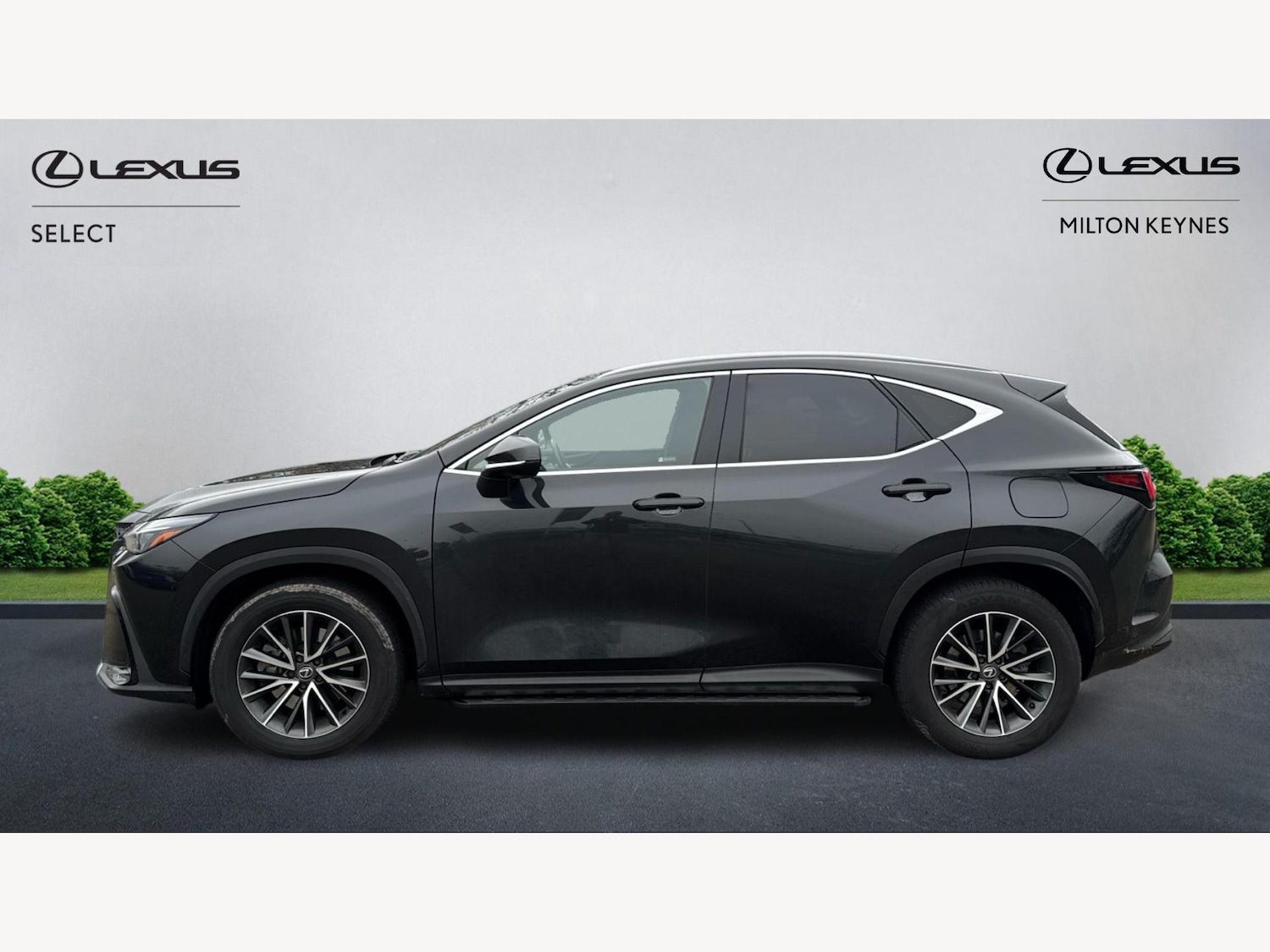 Used Lexus NX 2024 for sale - 77029972: Photo 3