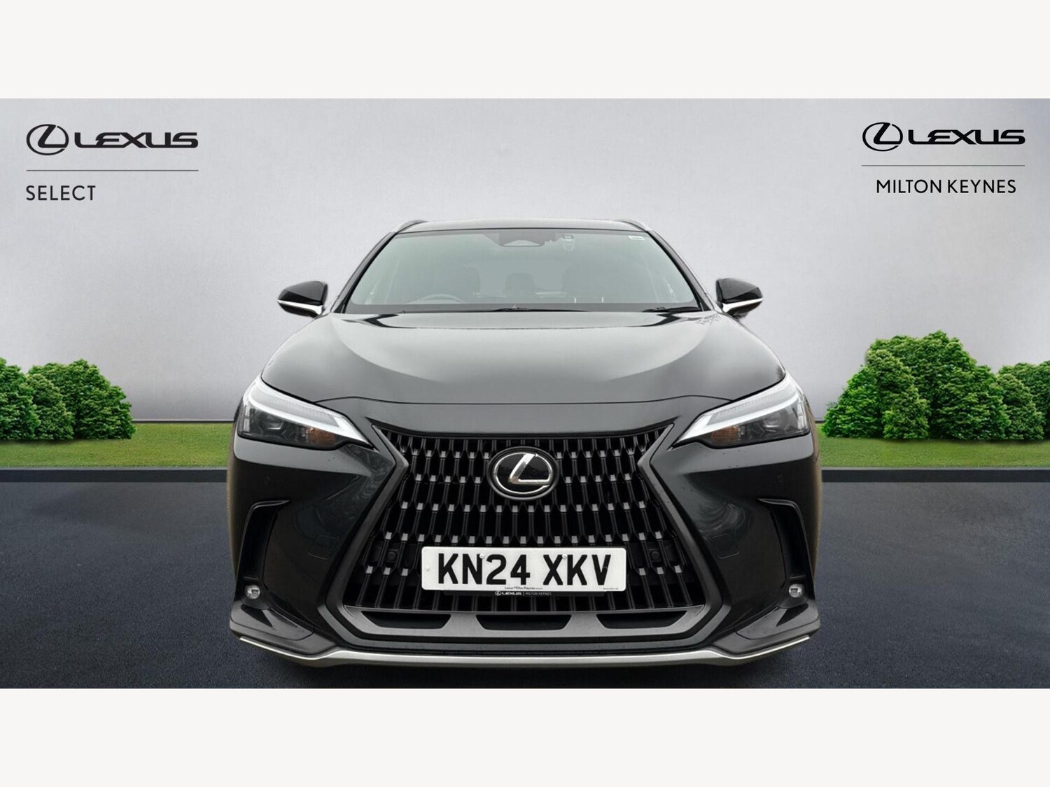 Used Lexus NX 2024 for sale - 77029972: Photo 6