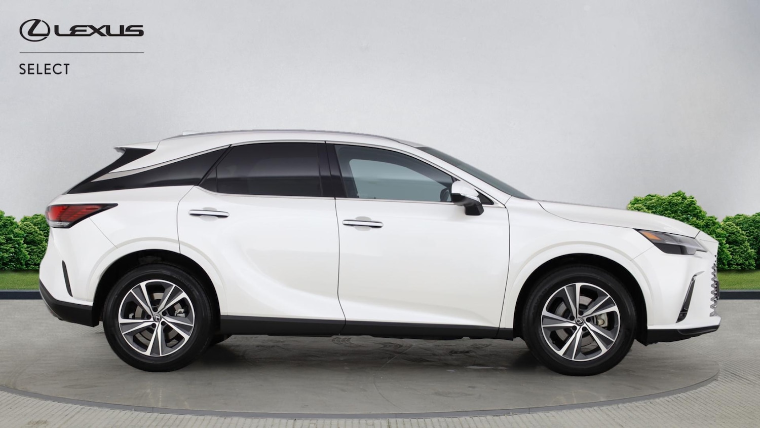 Used Lexus RX 2023 for sale - 77081919: Photo 16