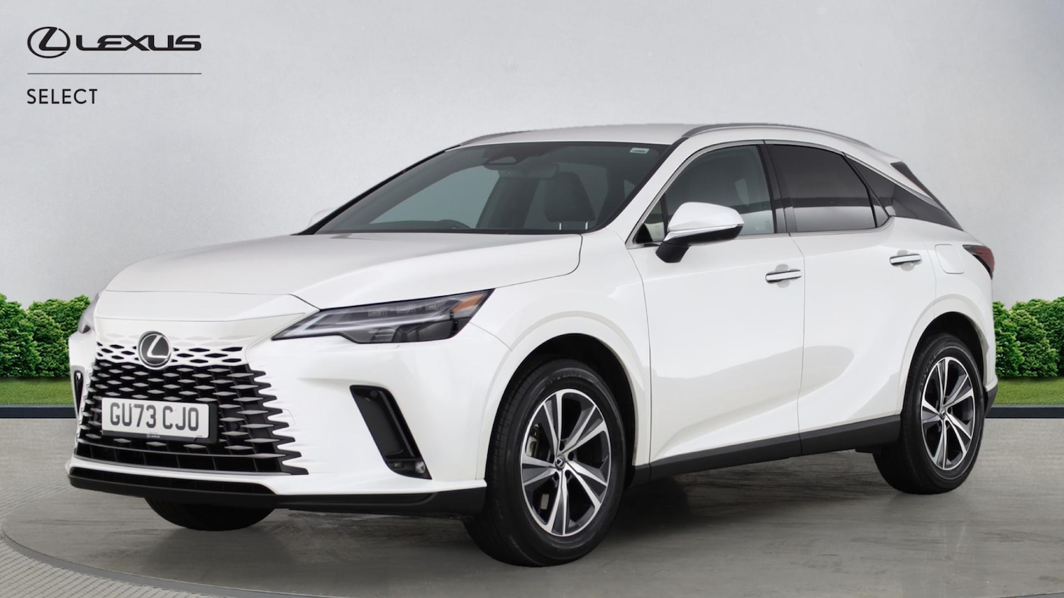 Used Lexus RX 2023 for sale - 77081919: Photo 17