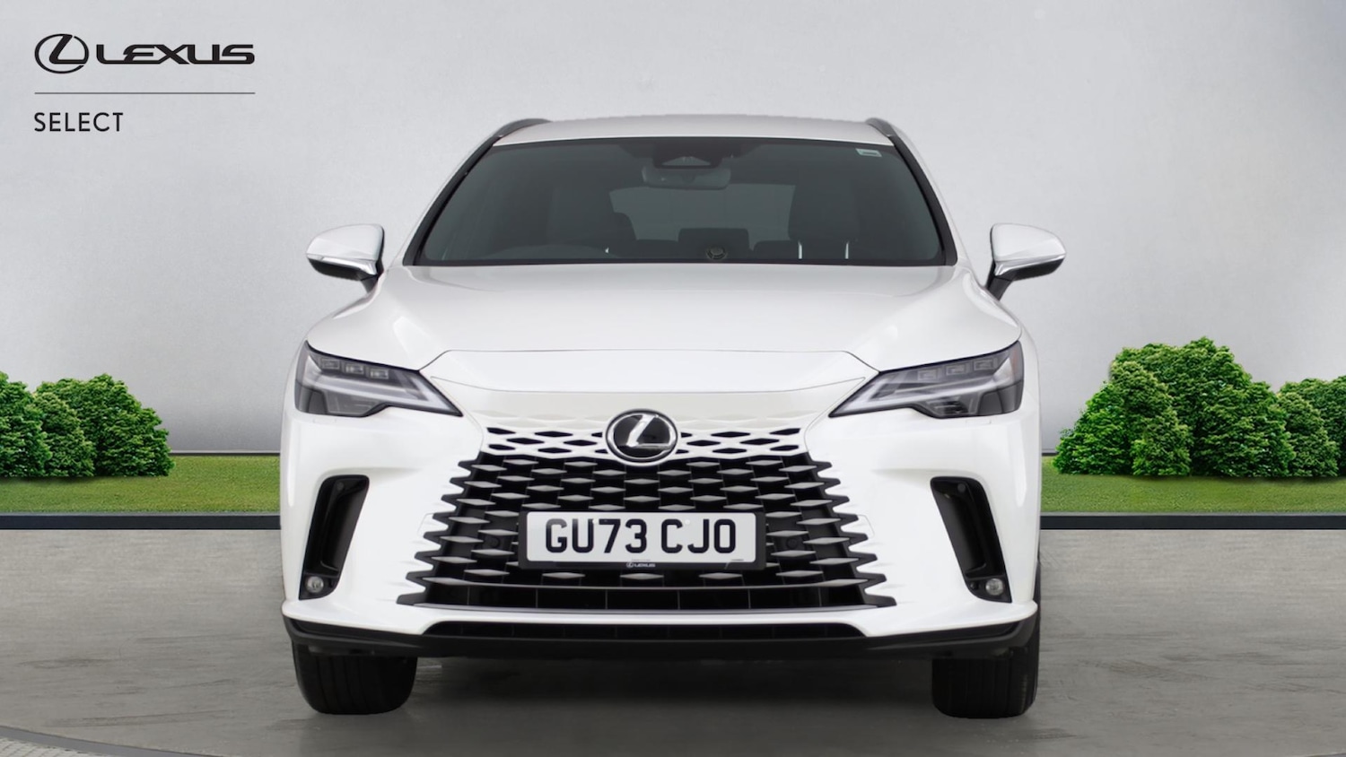 Used Lexus RX 2023 for sale - 77081919: Photo 4