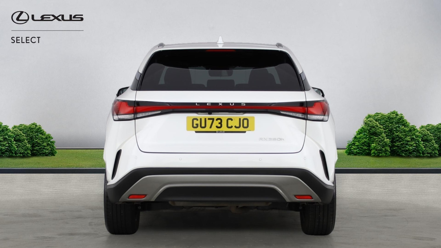 Used Lexus RX 2023 for sale - 77081919: Photo 5