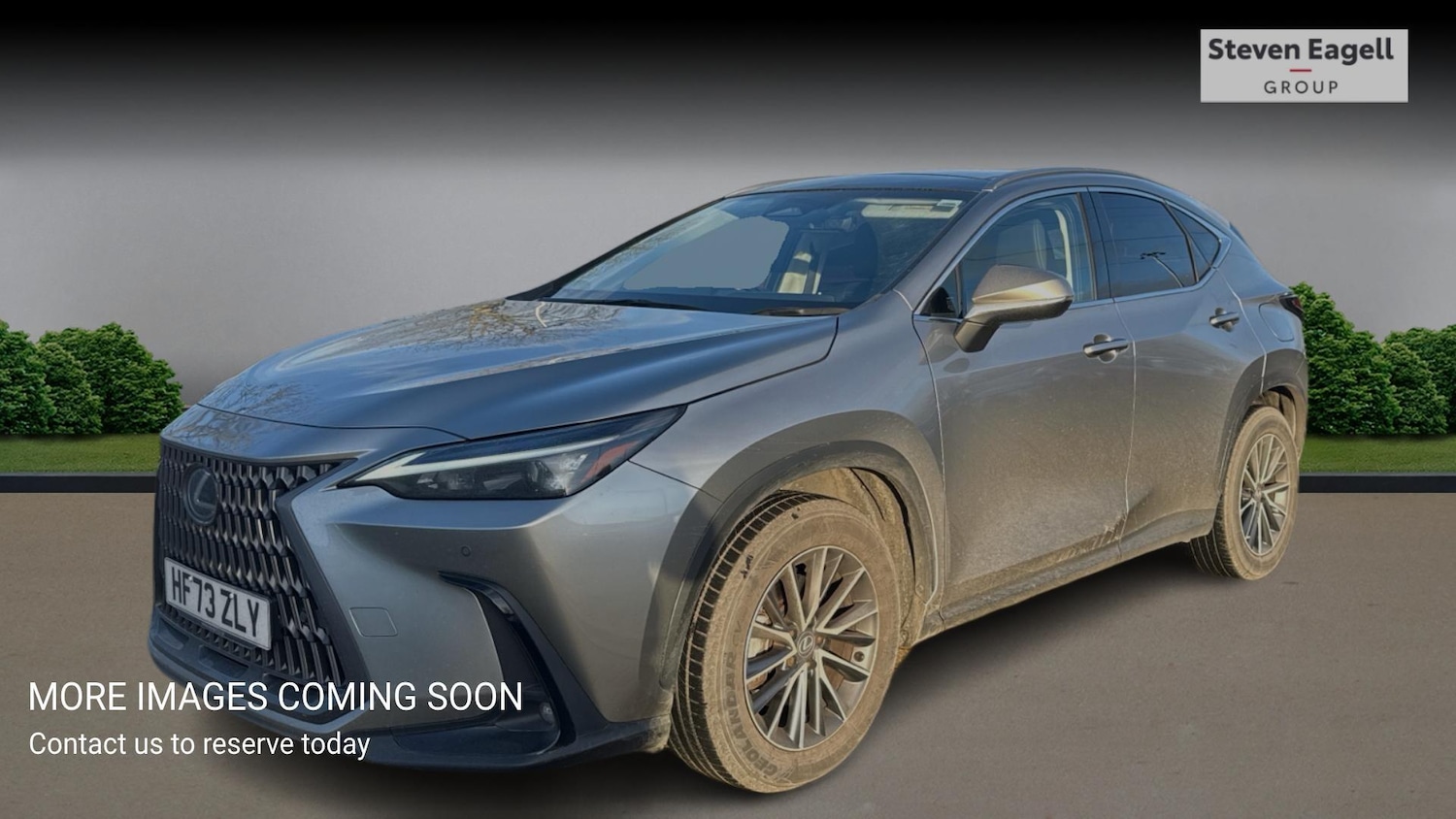 Used Lexus NX 2023 for sale - 77131526: Photo 3