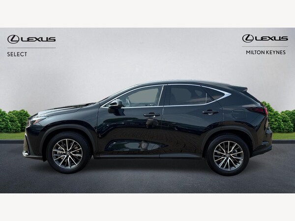 Used Lexus NX 2023 for sale - 74828772: Photo 3