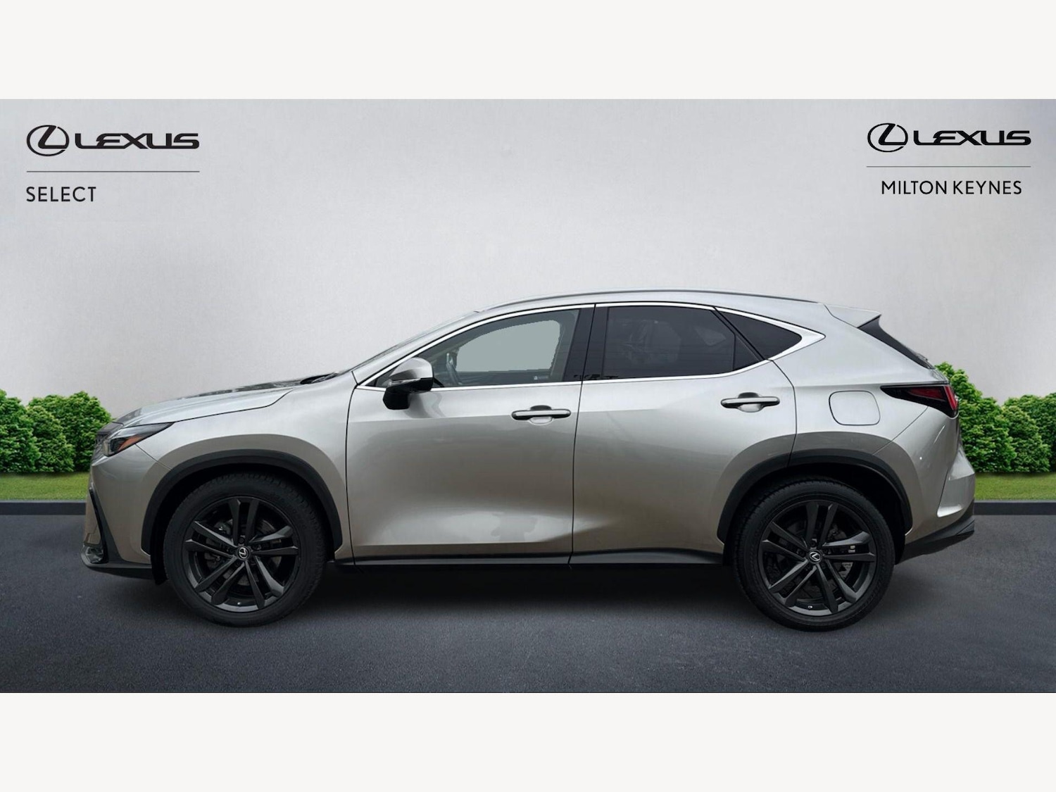 Used Lexus NX 2022 for sale - 77683465: Photo 3