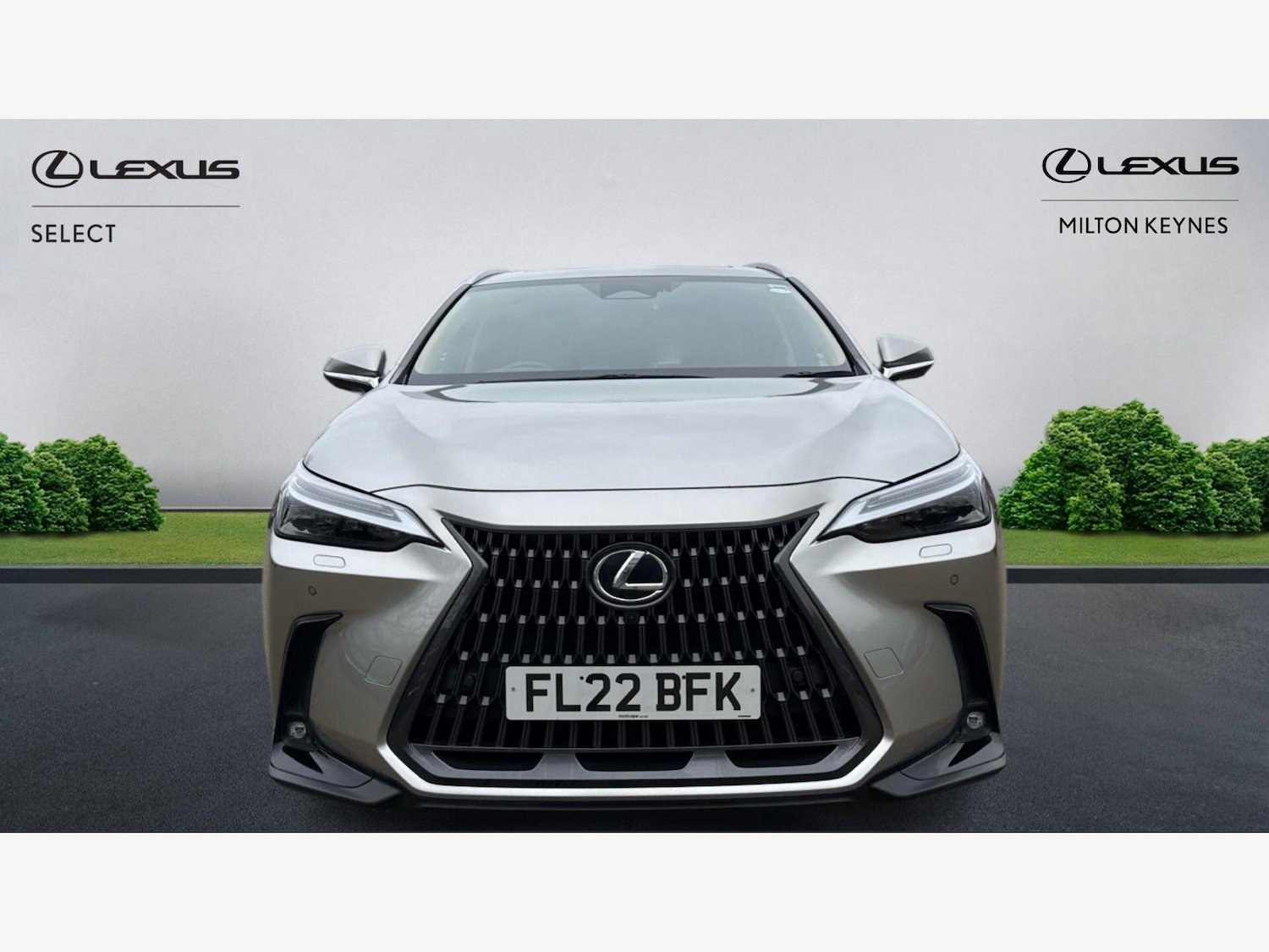 Used Lexus NX 2022 for sale - 77683465: Photo 6