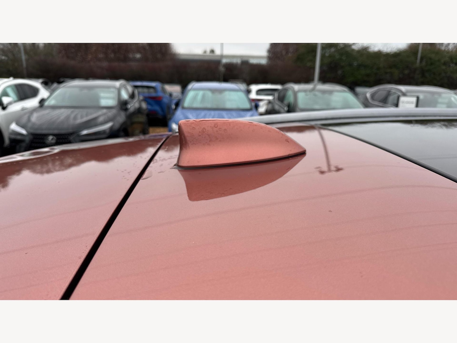 Used Lexus RX 2023 for sale - 77074287: Photo 27