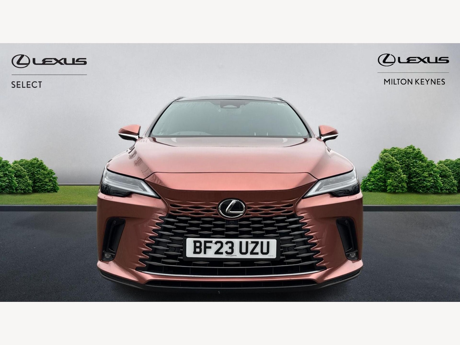 Used Lexus RX 2023 for sale - 77074287: Photo 6