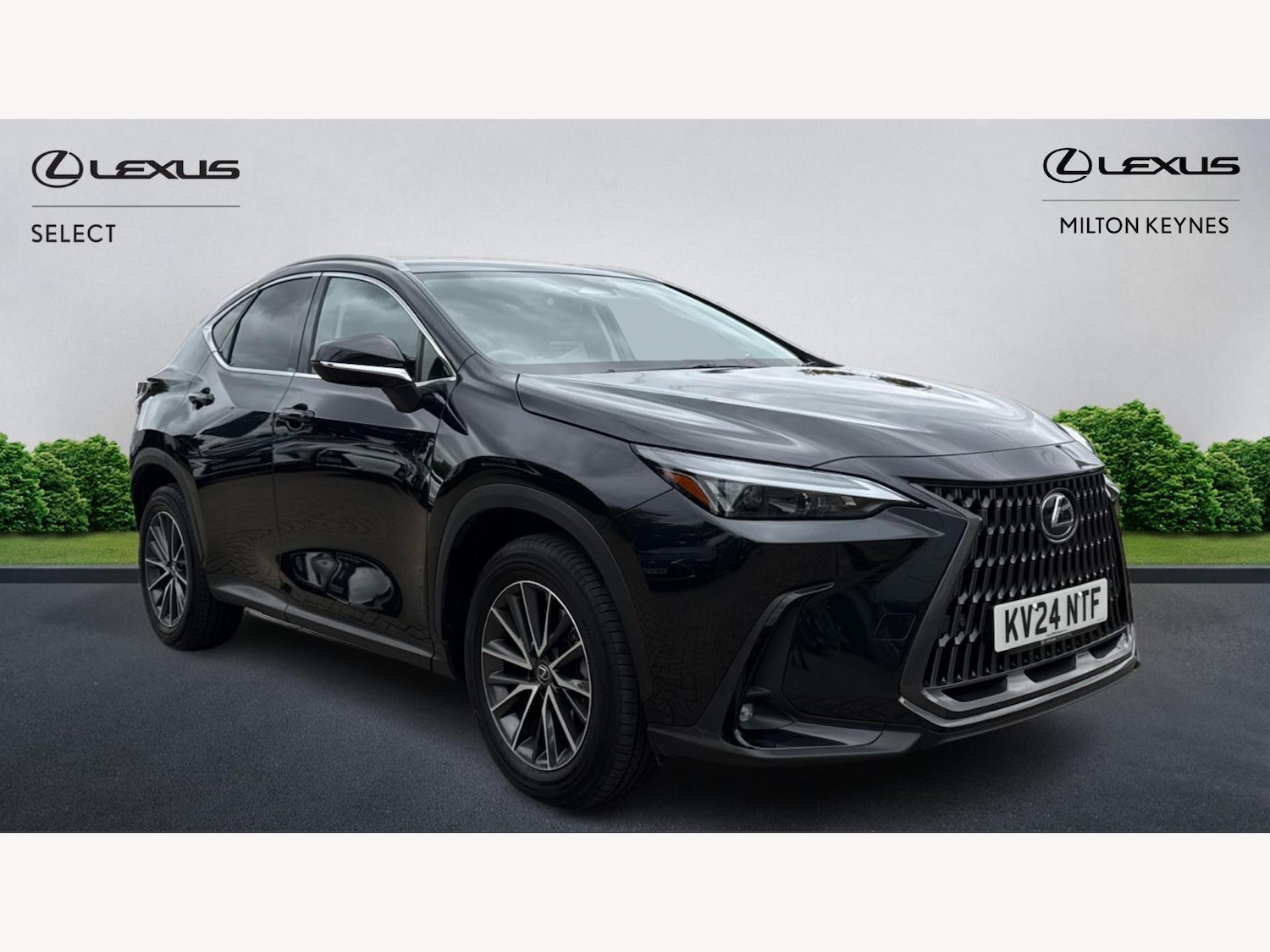 Used Lexus NX 2024 for sale - 76138361: Photo 1