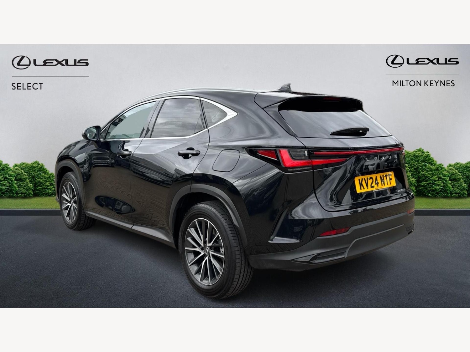 Used Lexus NX 2024 for sale - 76138361: Photo 2