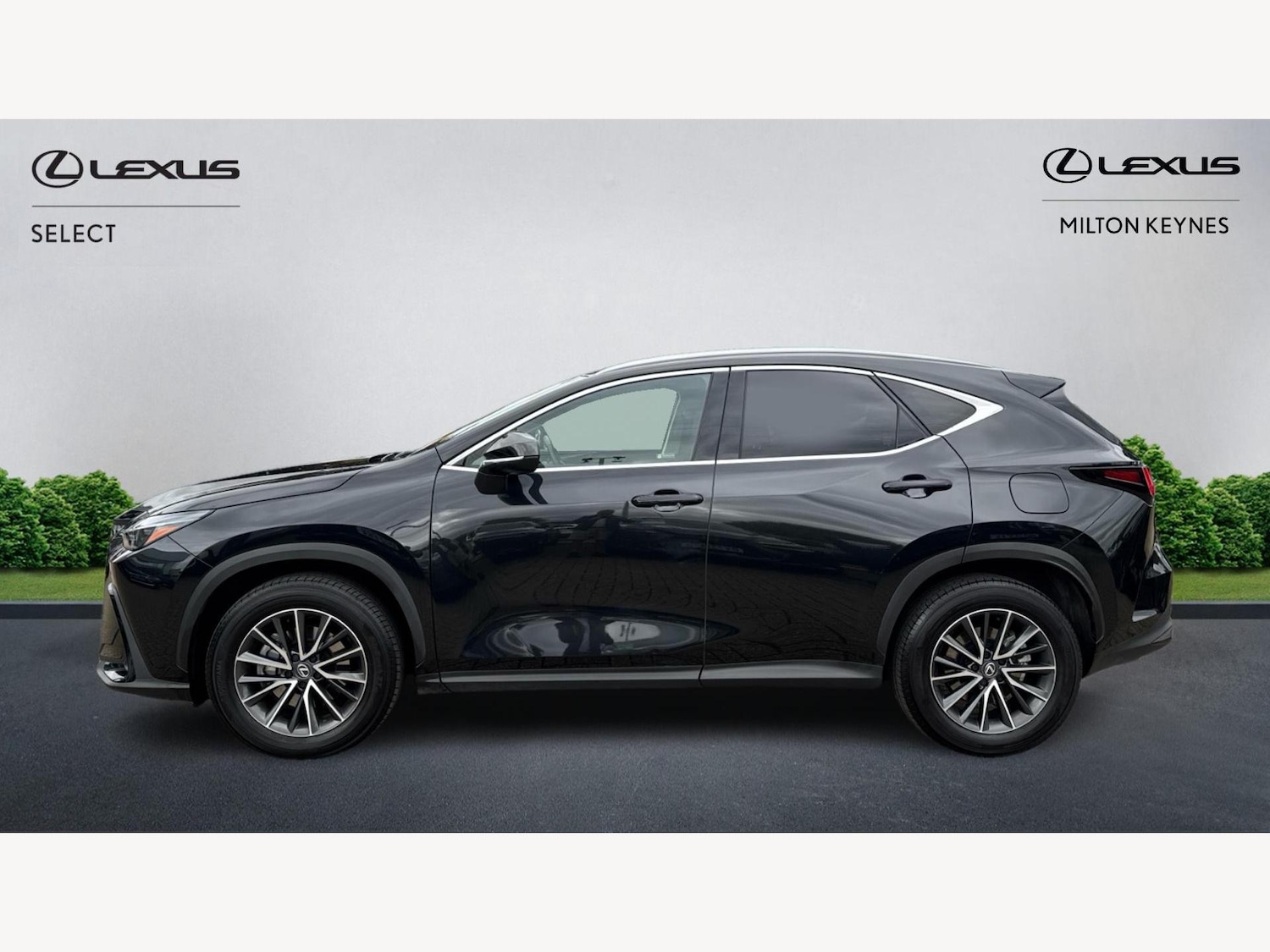 Used Lexus NX 2024 for sale - 76138361: Photo 3