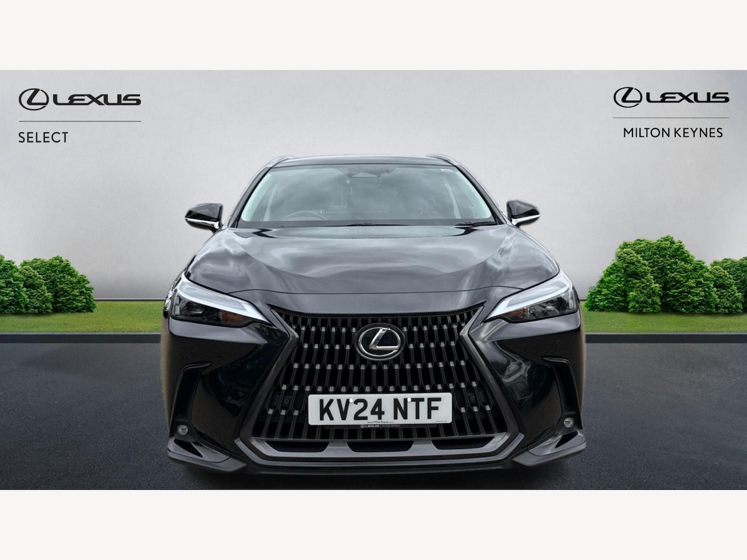 Used Lexus NX 2024 for sale - 76138361: Photo 6