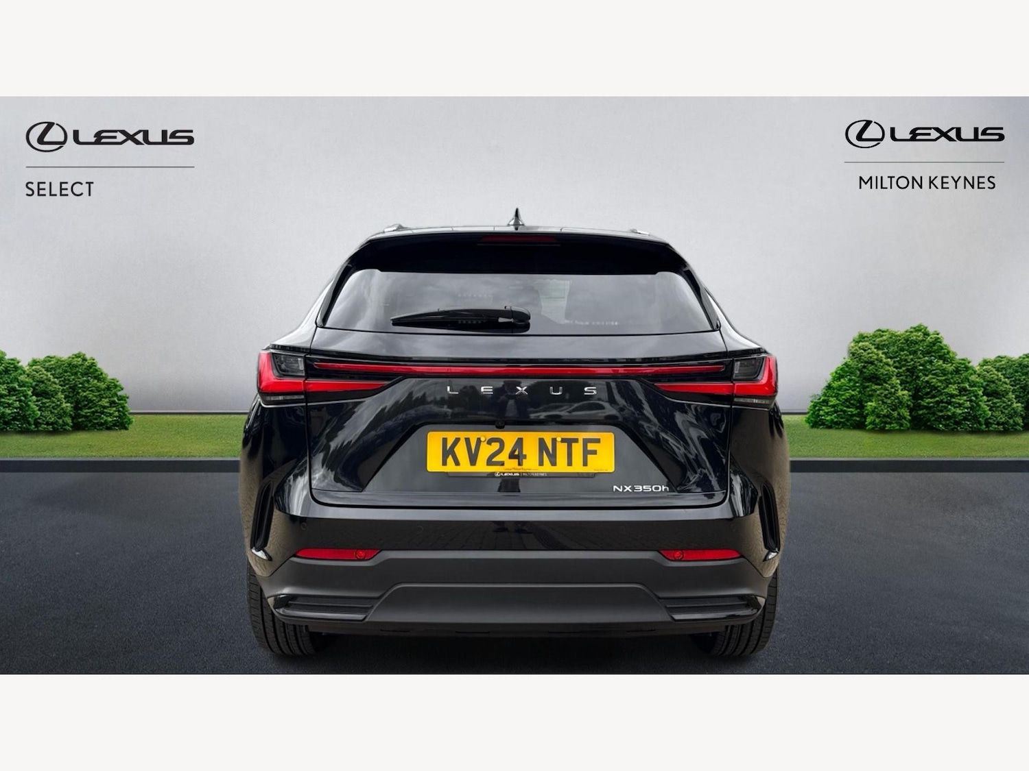 Used Lexus NX 2024 for sale - 76138361: Photo 7