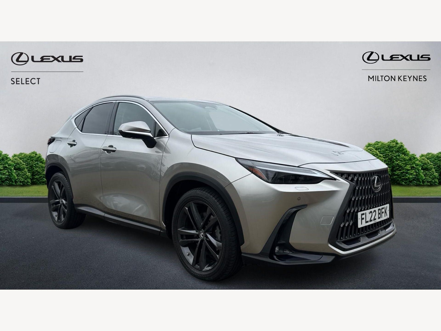 Used Lexus NX 2022 for sale - 77611916: Photo 1