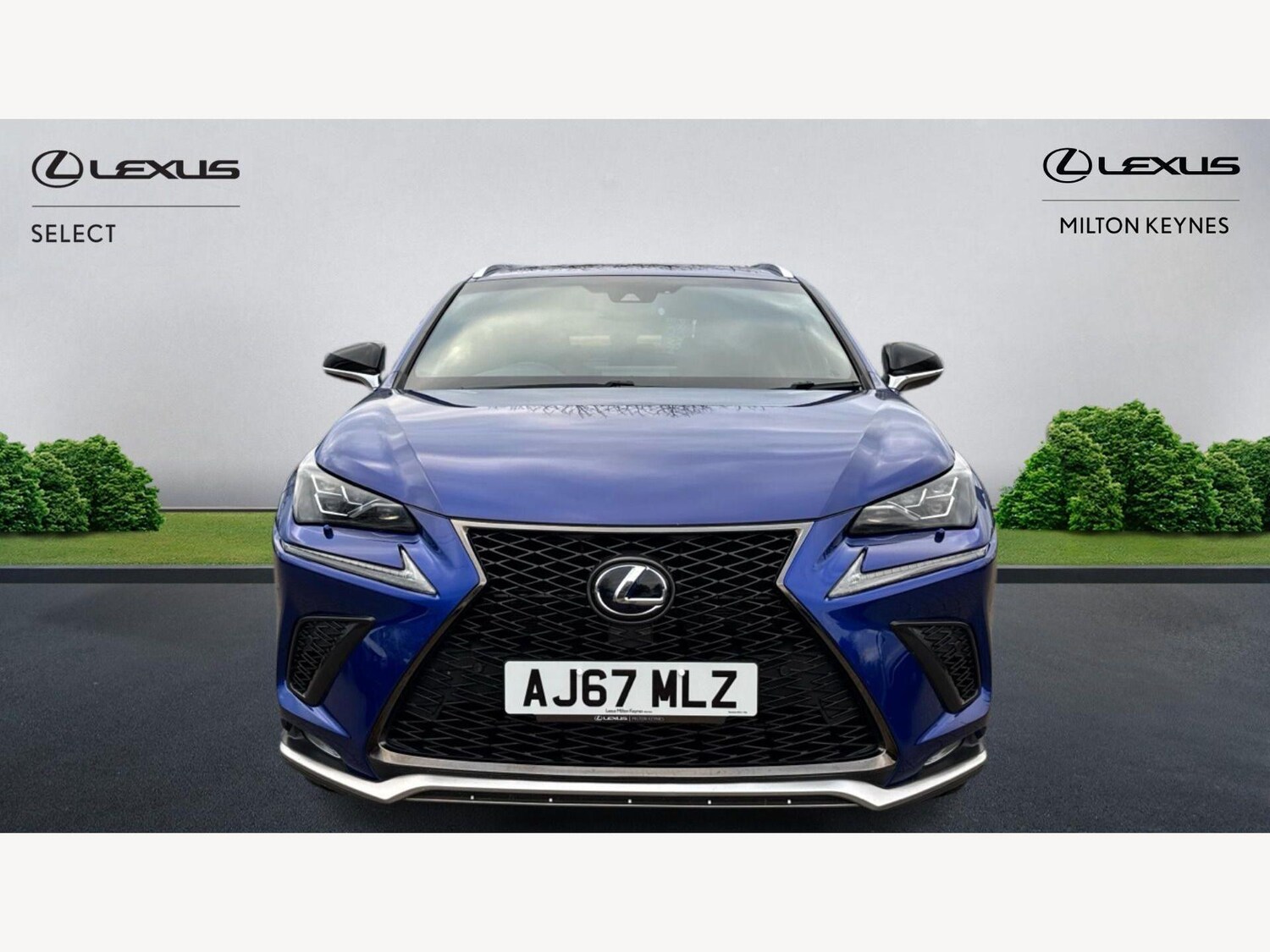 Used Lexus NX 2017 for sale - 77970756: Photo 6