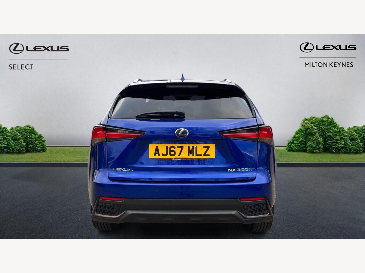 Used Lexus NX 2017 for sale - 77970756: Photo 7