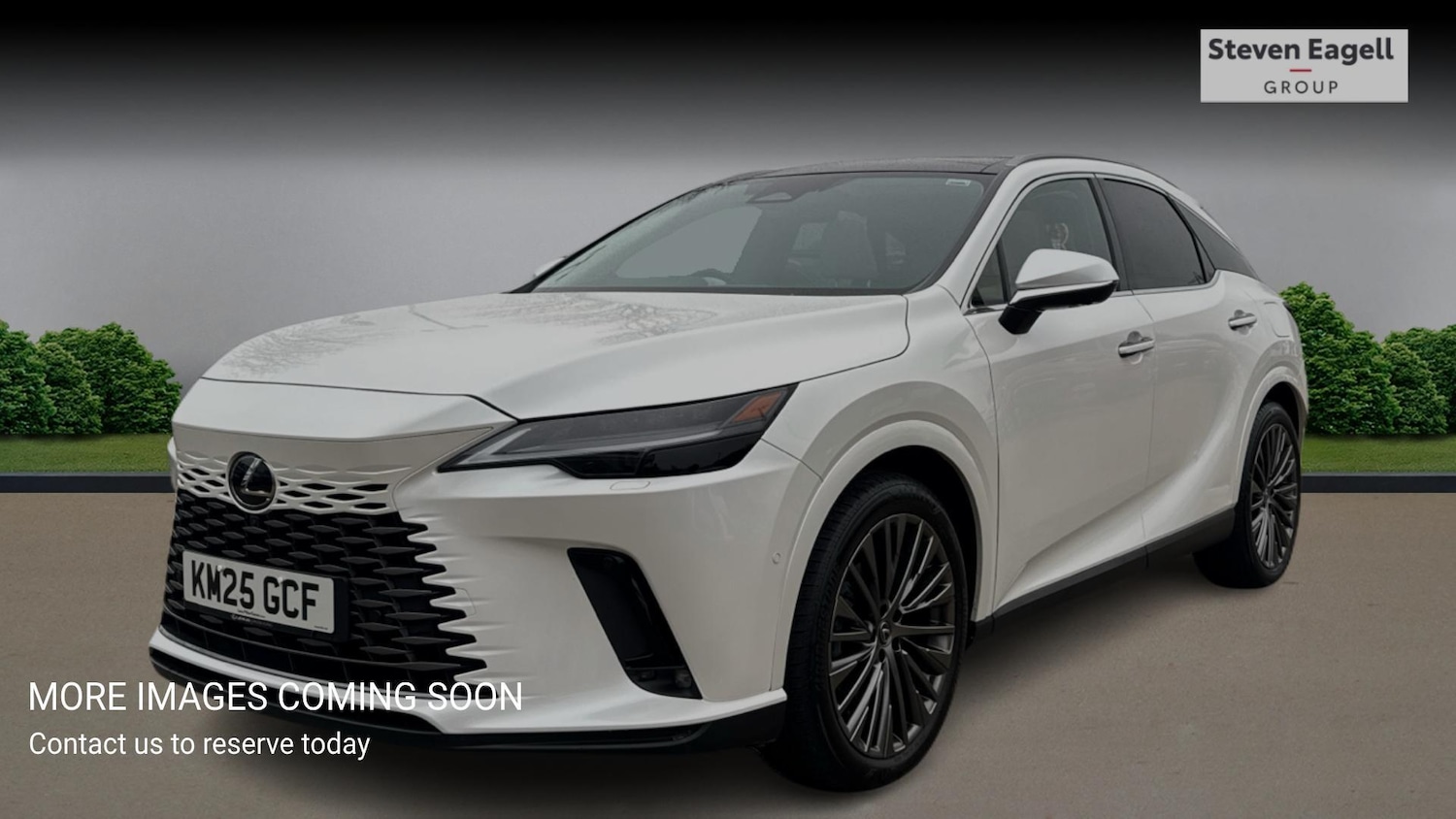 Used Lexus RX for sale - 77783095: Photo 3