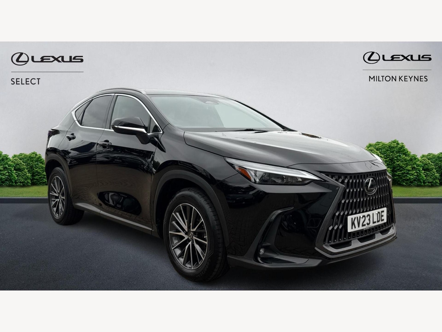 Used Lexus NX 2023 for sale - 76282886: Photo 1