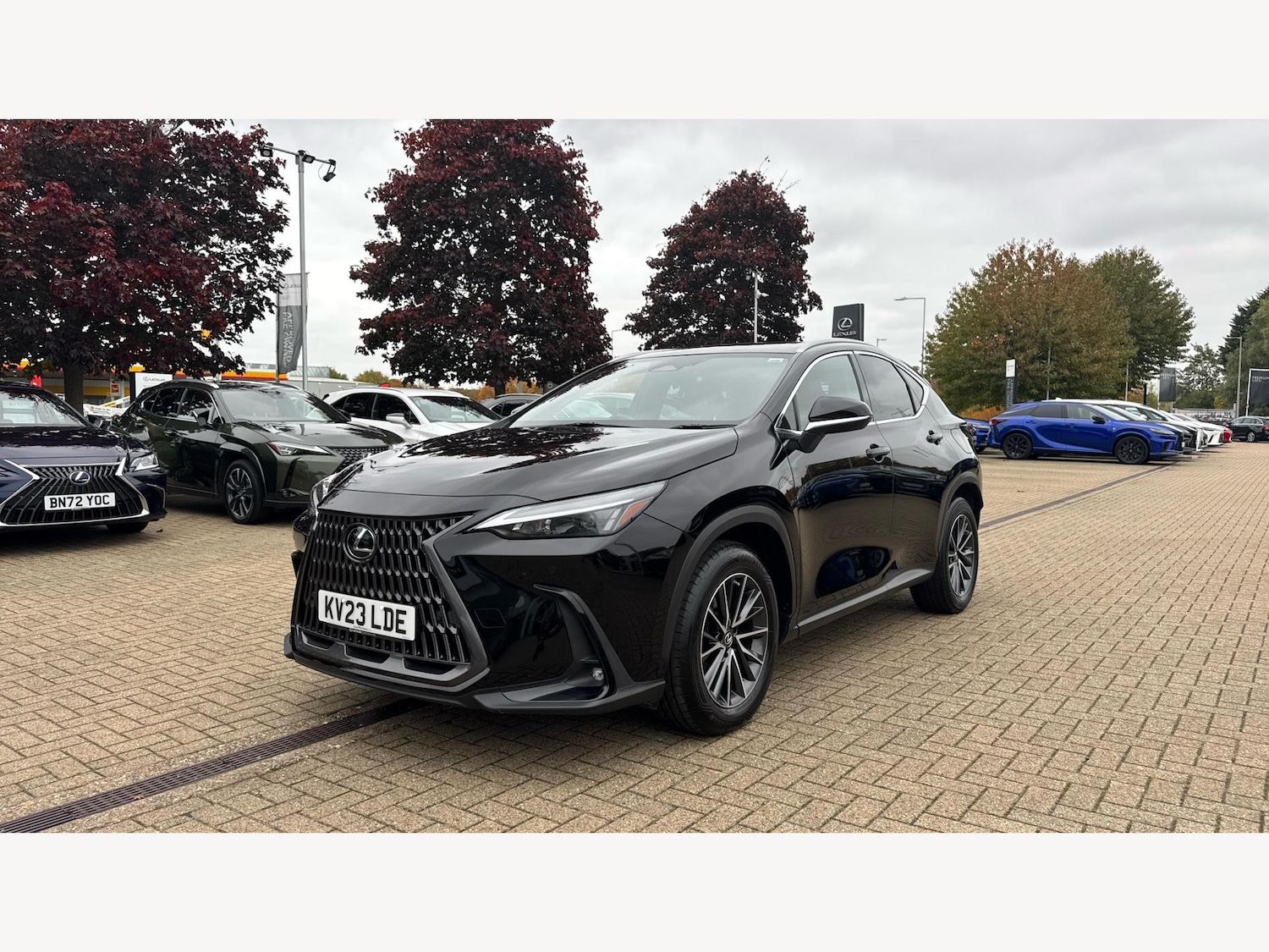 Used Lexus NX 2023 for sale - 76282886: Photo 19
