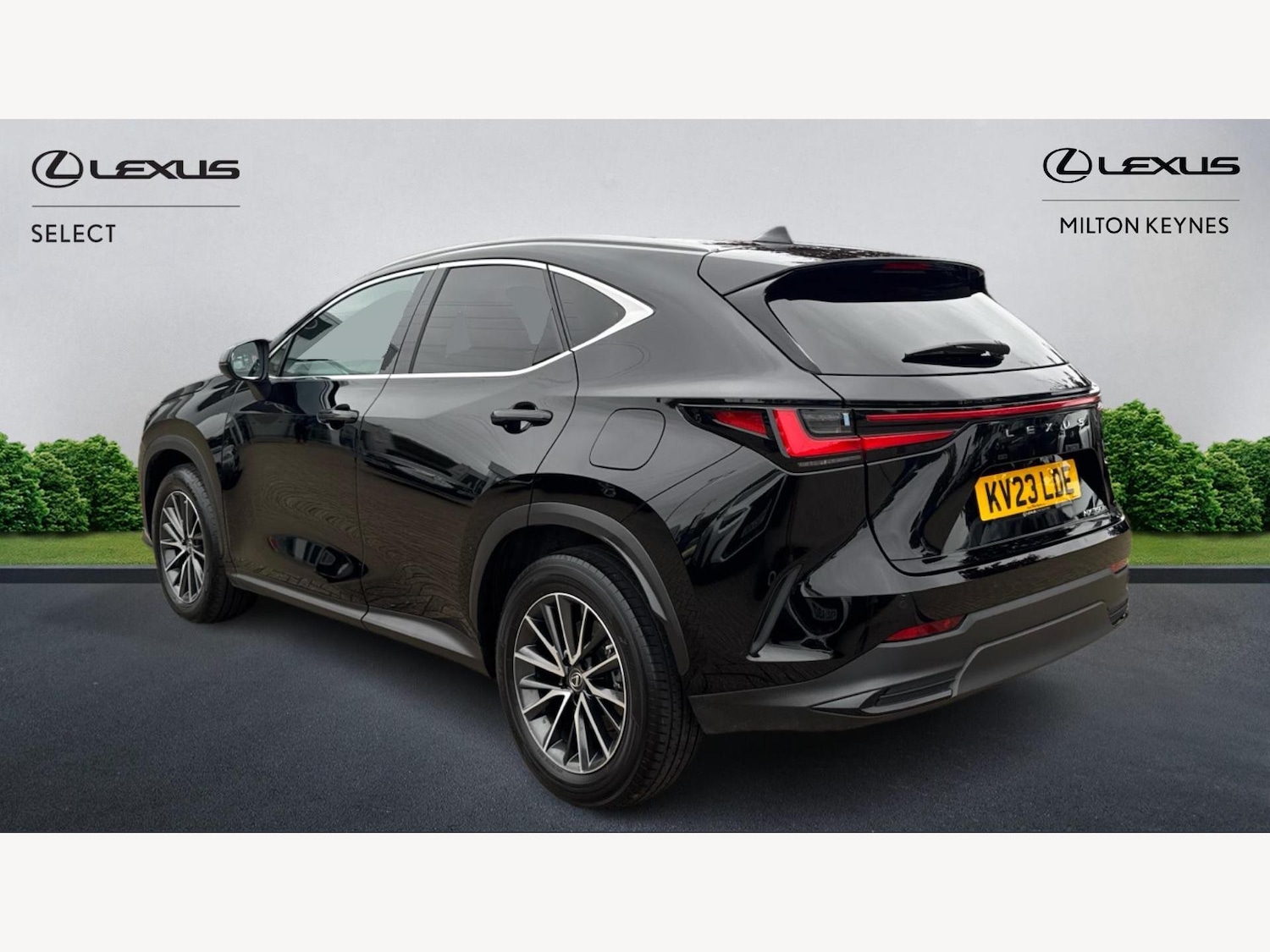Used Lexus NX 2023 for sale - 76282886: Photo 2