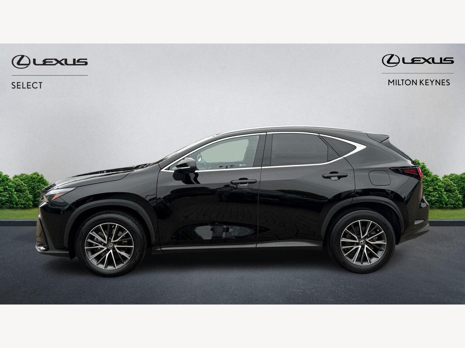 Used Lexus NX 2023 for sale - 76282886: Photo 3