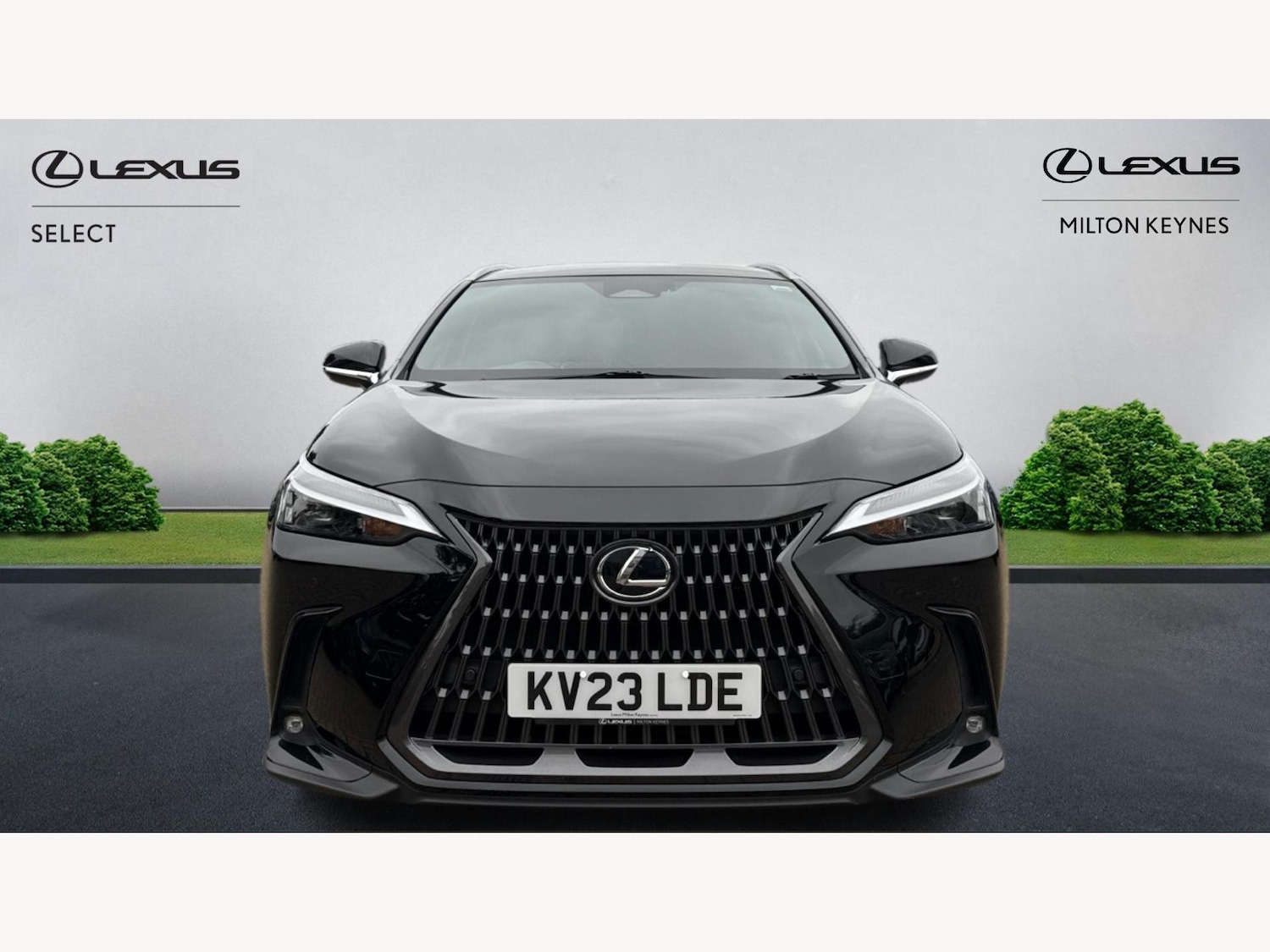 Used Lexus NX 2023 for sale - 76282886: Photo 6