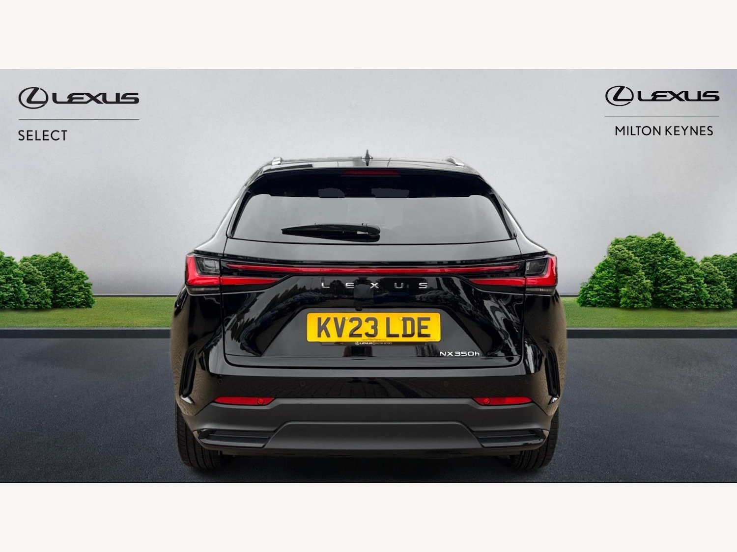 Used Lexus NX 2023 for sale - 76282886: Photo 7