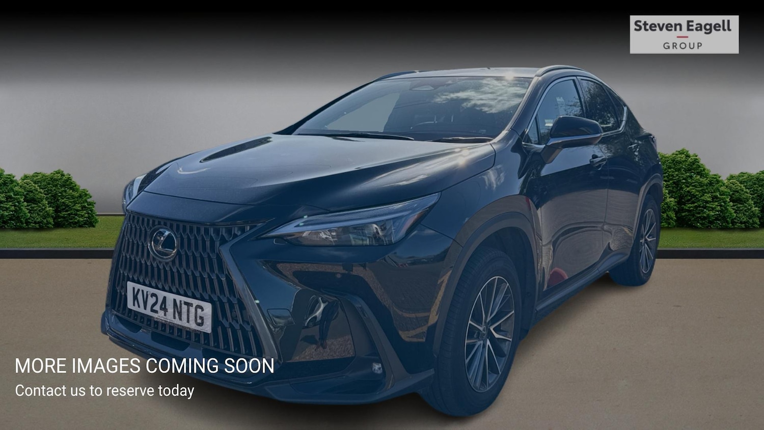 Used Lexus NX for sale - 78135834: Photo 3