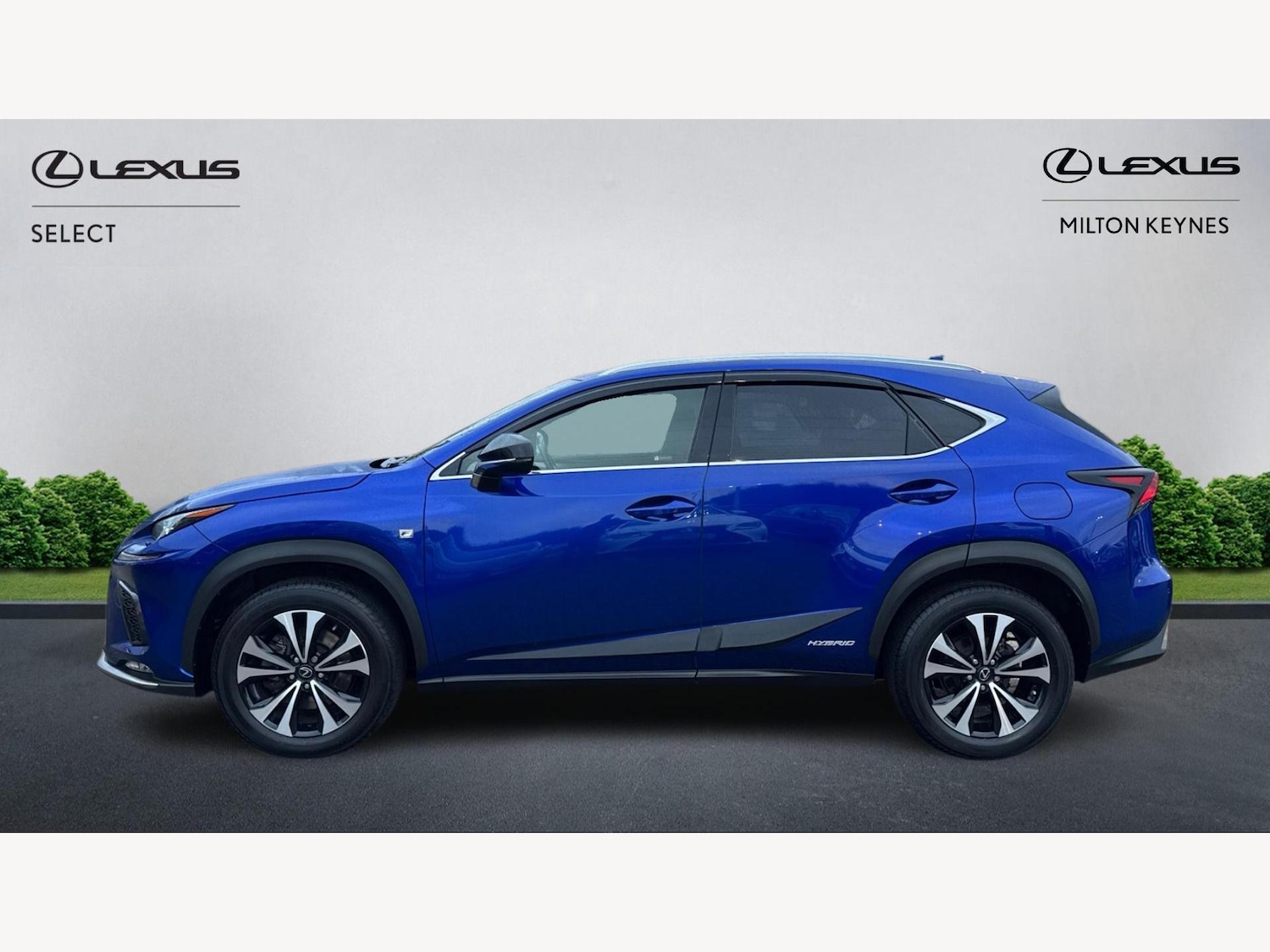 Used Lexus NX 2018 for sale - 77396168: Photo 3