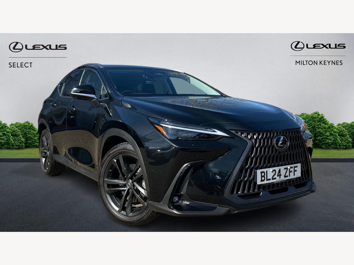 Used Lexus NX 2024 for sale - 78171062: Photo 1